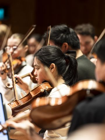 Strings section musicians playing in a orchestra