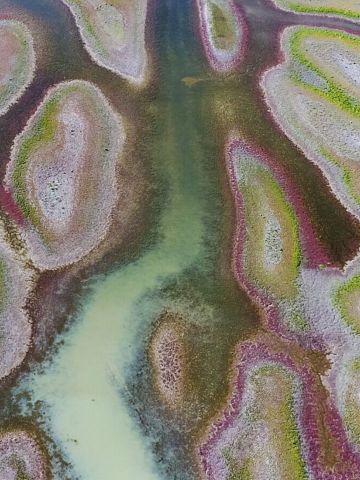 Aerial view of river system and wetlands