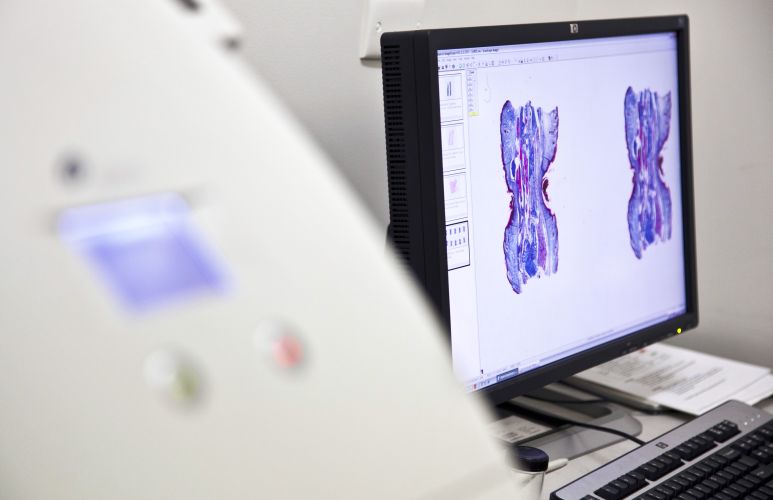 MR Melb Health 0121Bio21Cluster